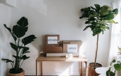 Finding a moving company job