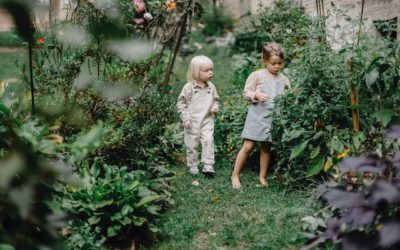 3 Cases When Your Garden Won’t Improve Your Property