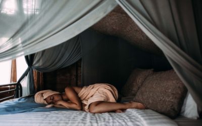 The Importance Of Sleep To Your Health