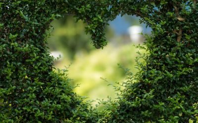 The 5 Ps Of Completing The Perfect Garden Upgrade